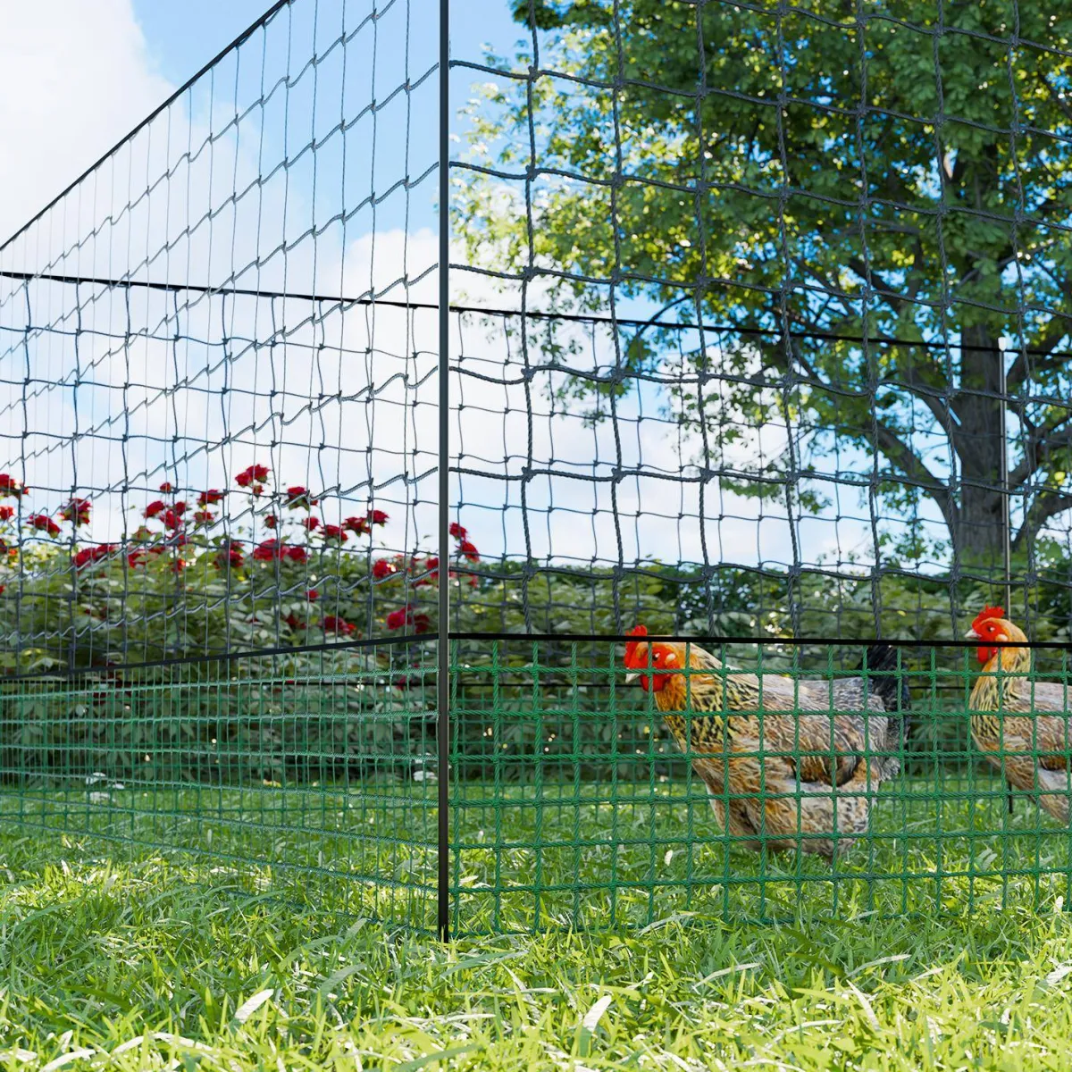 sweeek Kit di recinzione in rete modulare per galline