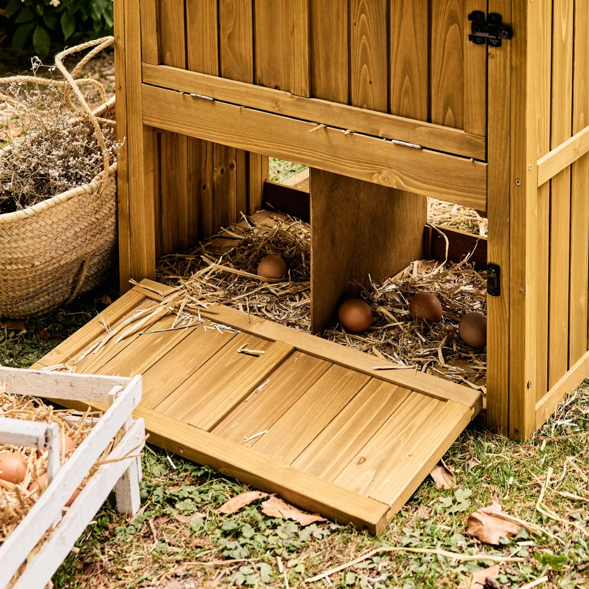 sweeek Pollaio 6 galline legno di abete