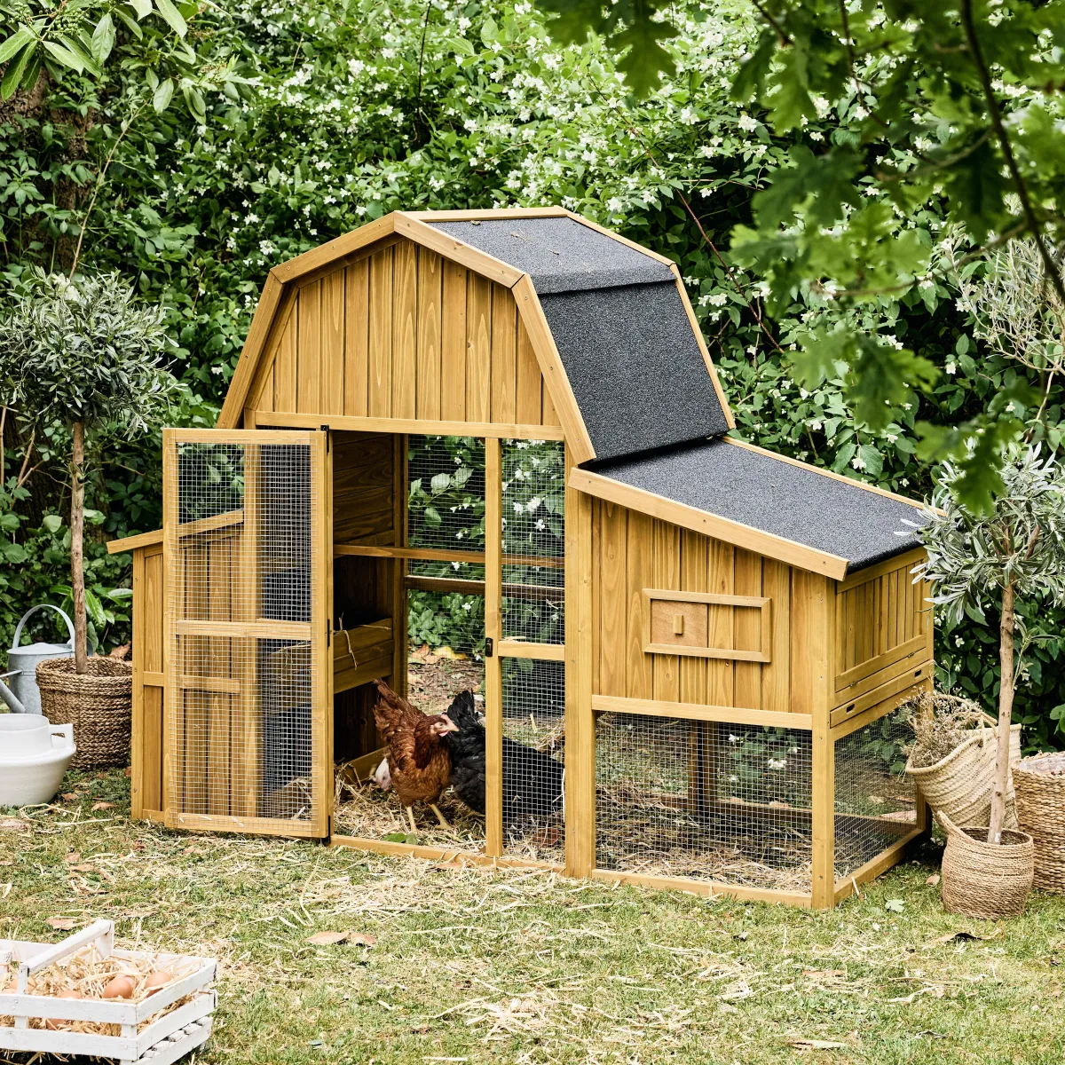 sweeek Pollaio 6 galline legno di abete