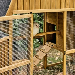 sweeek Pollaio 6 galline legno di abete