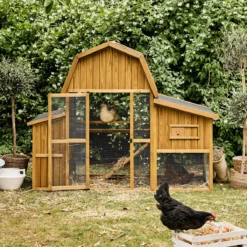 sweeek Pollaio 6 galline legno di abete