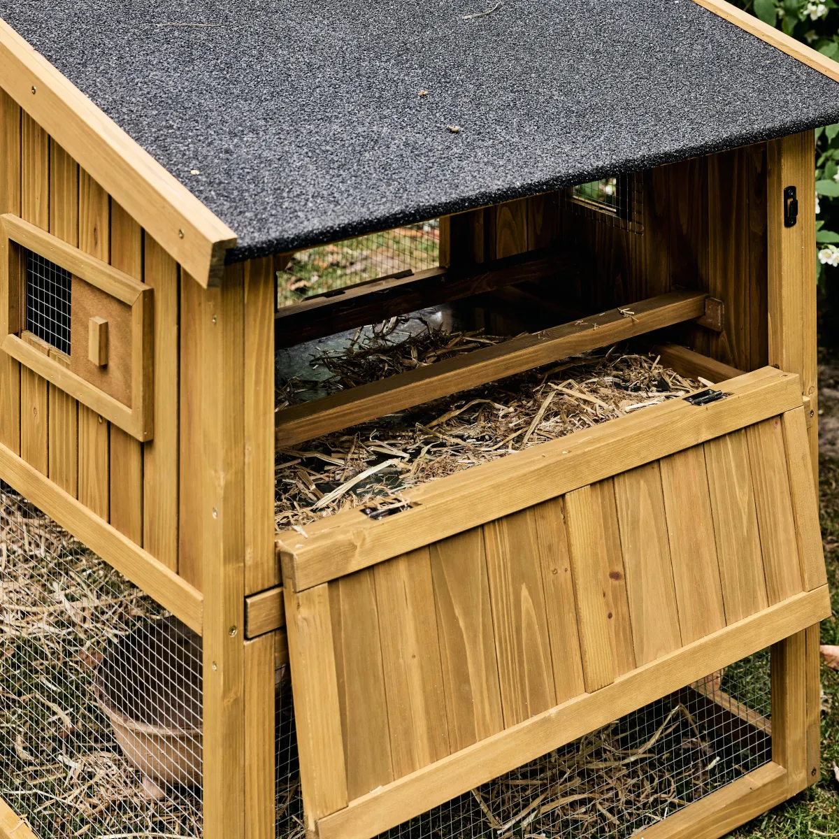 sweeek Pollaio 6 galline legno di abete